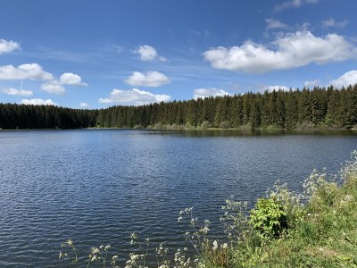 Holiday house Harzhaus Auszeit - Environment photo 37