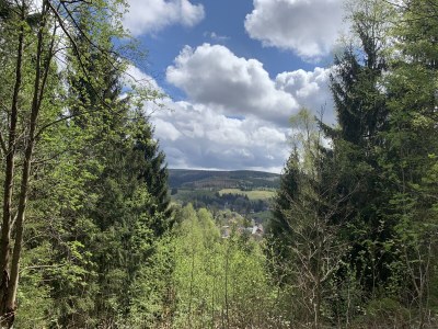 Holiday house Harzhaus Auszeit - Environment photo 38