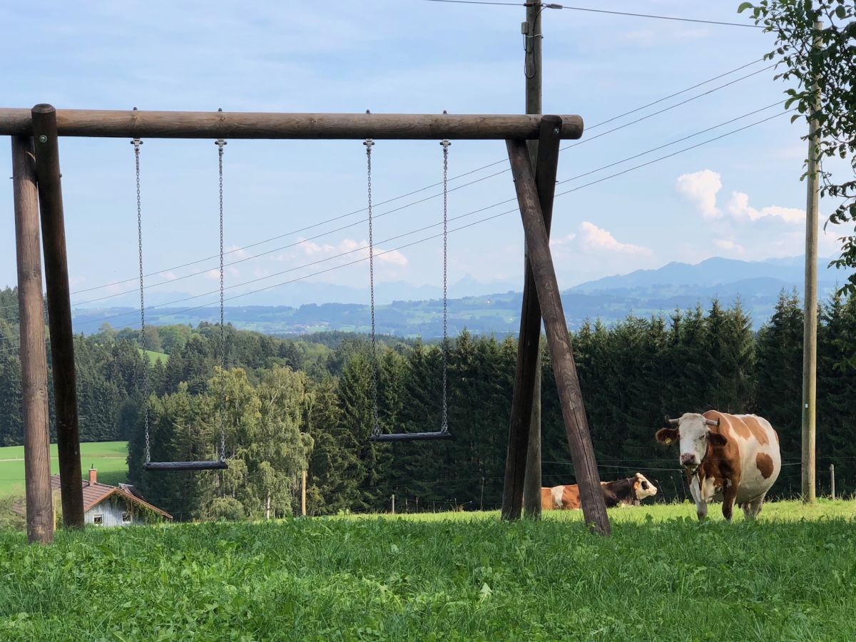 Holiday apartment Zweizimmer-Apartment - Outdoor photo 4