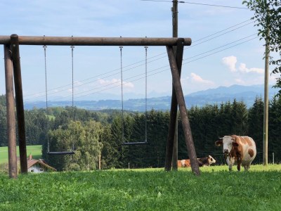 Holiday apartment Zweizimmer-Apartment - Outdoor photo 4