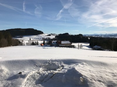 Holiday apartment Zweizimmer-Apartment - Outdoor photo 5