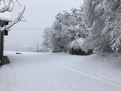 Holiday apartment Zweizimmer-Apartment - Outdoor photo 6