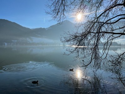 Apartment Liebelei am See - Environment photo 17