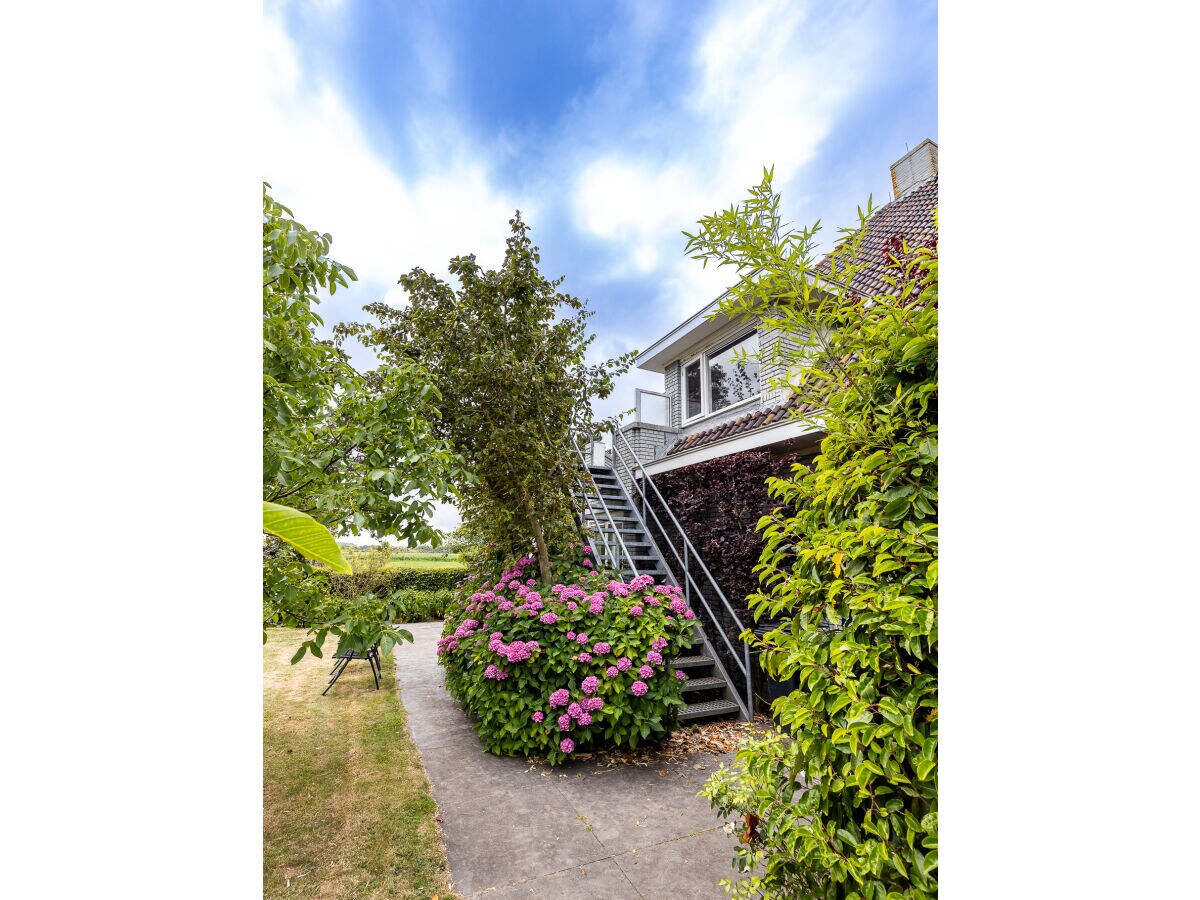 Holiday apartment Domburgseweg 52 Apartment - Outdoor photo 2