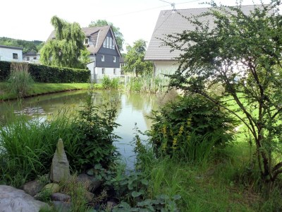 Apartment Ferienwohnung für 2 Personen in Kirchhundheim - Environment photo 36