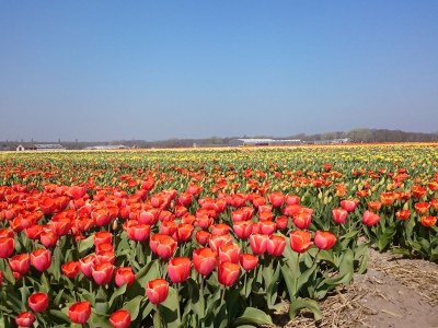 Apartment Seabreeze - Environment photo 20