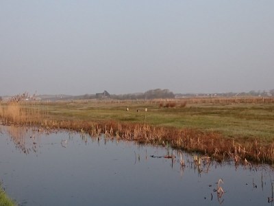 Apartment Seabreeze - Environment photo 21