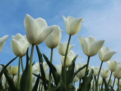 Apartment Seabreeze - Environment photo 23