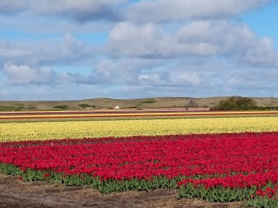 Apartment Seabreeze - Environment photo 25
