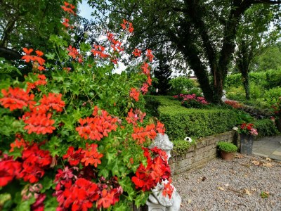 Holiday house Luxushaus in Limburg mit Whirlpool - Outdoor photo 14
