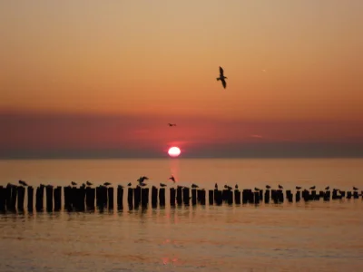 Holiday house Cozy holiday home Domburg DO13 - Environment photo 10