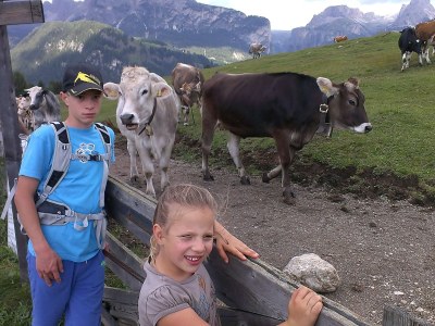 Apartment Mussner House in TaflÃ  - Environment photo 18