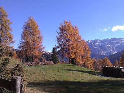 Apartment Mussner House in TaflÃ  - Environment photo 21