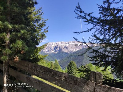 Apartment Mussner House in TaflÃ  - Environment photo 23