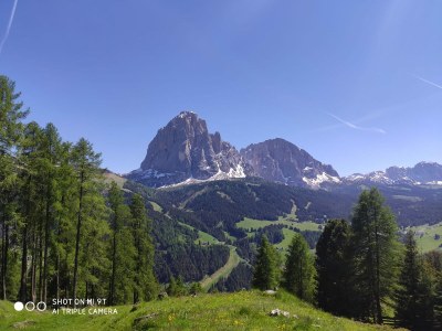 Apartment Mussner House in TaflÃ  - Environment photo 24