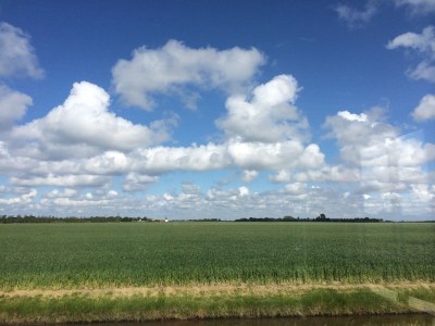 Holiday apartment Buitenplaats 68 - Environment photo 15