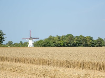 Holiday apartment Buitenplaats 68 - Environment photo 16