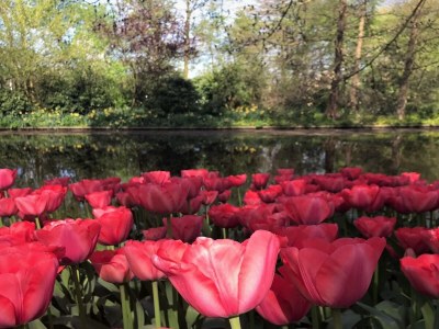 Apartment Gemütliche Wohnung in Scheveningen - Environment photo 15