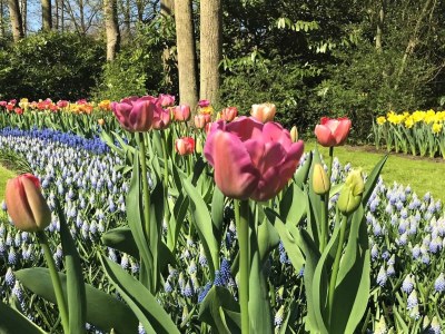 Apartment Luxuriöses Penthouse mit Dachterrasse - Environment photo 37