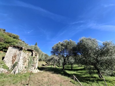 Holiday house Casa GlÃ¼ckert - Environment photo 36