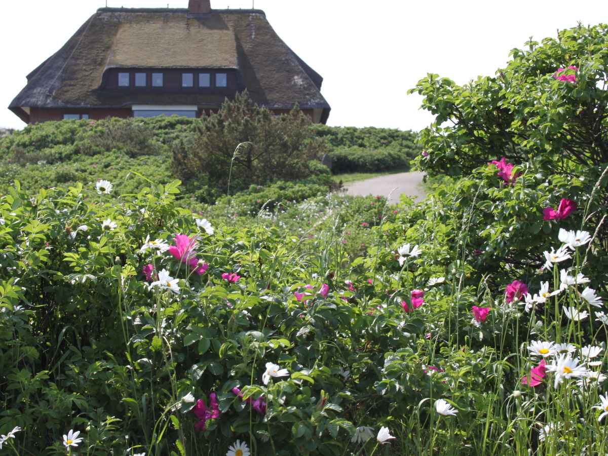 Holiday apartment Süd - Raanhof - Outdoor photo 5