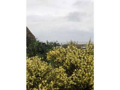 Holiday apartment Süd - Raanhof - Outdoor photo 11