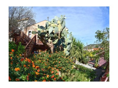 Holiday house Borgo al Costa VI - Outdoor photo 3