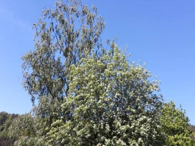 Holiday house Ferienhaus in Zierow am Strand - Environment photo 32