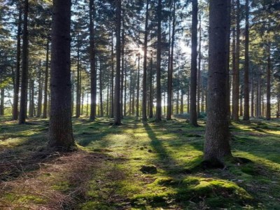 Holiday house Ferienhaus in Zierow am Strand - Environment photo 34