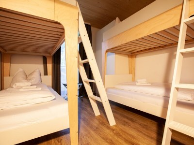 Chalet Alpin Chalet with 10 sleeping places | Sauna - Features photo 9