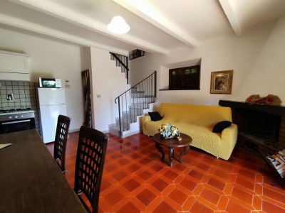 Holiday house Villa in Sasso Pisano mit Garten - Features photo 20