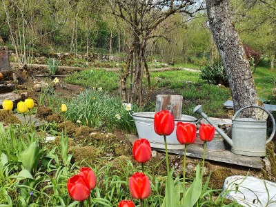 Holiday house Little Paradise - Outdoor photo 9