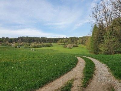 Holiday house Little Paradise - Outdoor photo 10