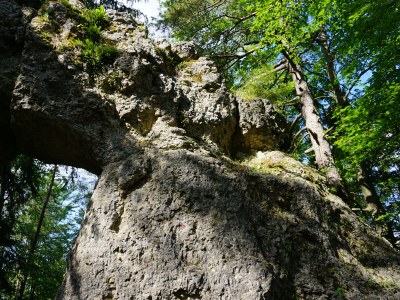 Holiday house Little Paradise - Environment photo 36