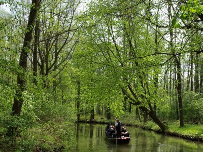 Holiday house Spreewaldoase - Environment photo 28