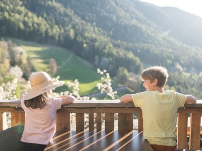 Holiday apartment Holiday Apartment Sonnenadler in Steinegg - Holiday apartment