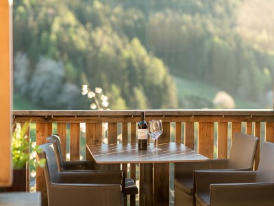 Holiday apartment Holiday Apartment Sonnenadler - Features photo 19