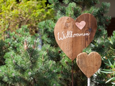 Holiday apartment Holiday Apartment Sonnenadler - Document photo 39