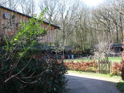 Holiday apartment Landgoed Nollenweijde House 'Stalzicht Weijdehof' - Outdoor photo 7