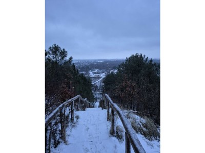 Holiday apartment Landgoed Nollenweijde House 'Stalzicht Weijdehof' - Environment photo 17