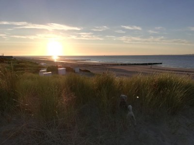 Holiday house Tree Boat House - Environment photo 21