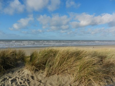 Holiday house Ferienvilla Wagner - Environment photo 16