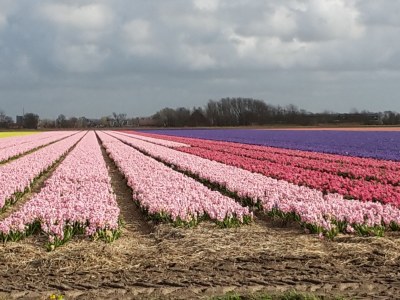 Holiday house Ferienvilla Wagner - Environment photo 18