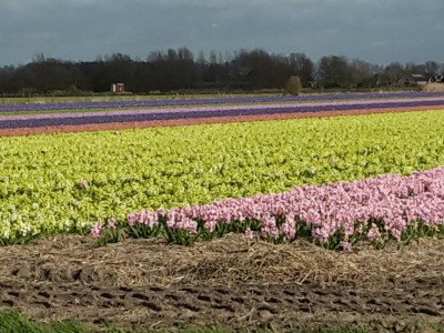 Holiday house Ferienvilla Wagner - Environment photo 19