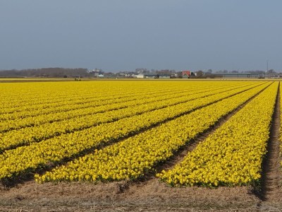 Holiday house Ferienvilla Wagner - Environment photo 21