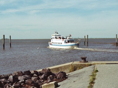 Holiday apartment In der Marsch - Environment photo 13