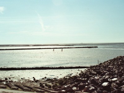 Holiday apartment In der Marsch - Environment photo 14