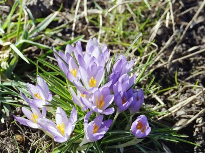 Holiday apartment In der Marsch - Environment photo 15