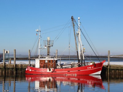 Holiday apartment In der Marsch - Environment photo 17