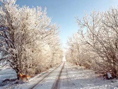 Holiday apartment In der Marsch - Environment photo 21